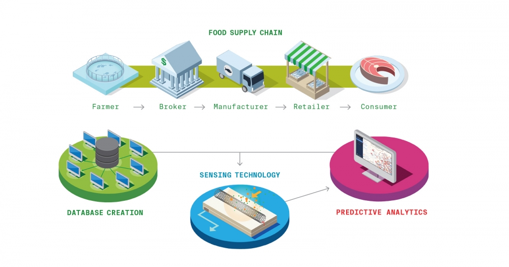 Building Safer Food Systems